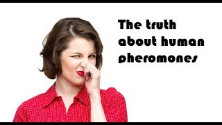 The truth about human pheromones [upl. by Nivek]