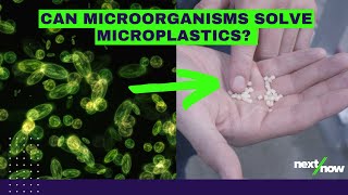 The Solution to Microplastics  Newlight [upl. by Anan292]