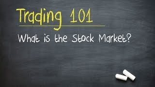 Trading 101 What is the Stock Market [upl. by Noellyn118]