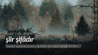 şiir şifâdır  en sevilenler 1 saat dinleti [upl. by Ozzie]