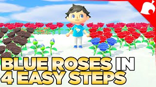 How to Get Blue Roses in 4 Easy Steps Animal Crossing New Horizons [upl. by Cuttler]