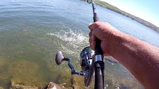 How To Catch HUGE Catfish From The Bank [upl. by Itoyj]