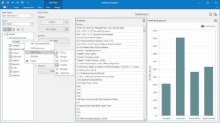 DevExpress Dashboards Calculated Fields [upl. by Swihart]