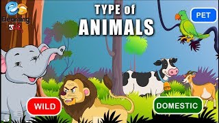 Types of Animals  Wild Domestic Pet [upl. by Semmes]