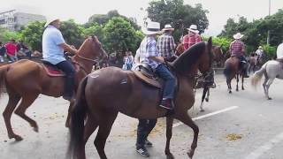 Cabalgata Horse Parade at the Feria de las Flores Flower Festival in Medellin Colombia [upl. by Lebasi]