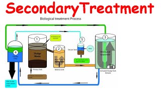 Secondary treatment of wastewater [upl. by Bauer811]