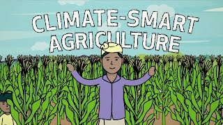 ClimateSmart Agriculture in Action [upl. by Devitt]