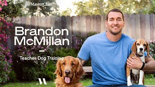 Brandon McMillan Teaches Dog Training  Official Trailer  MasterClass [upl. by Edahsalof843]