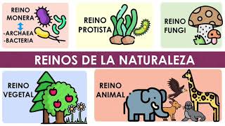 Los reinos de la naturaleza Características y ejemplos [upl. by Piwowar]