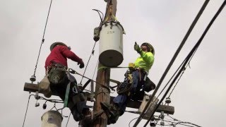 Life of a lineman [upl. by Ecnarepmet]