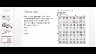 Transfer RNA tRNA Codons and Anticodons [upl. by Ruel]