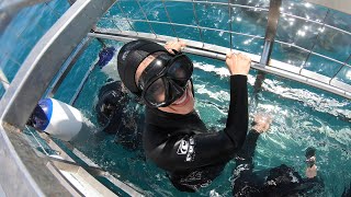 Shark Cage Diving in South Africa [upl. by Nylle]