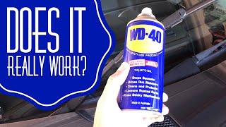 WD40 Hack on Wiper Blades Does it really work [upl. by Blaire]