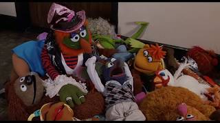 Muppet Songs Dr Teeth  Cant Take No for an Answer [upl. by Ayanej]