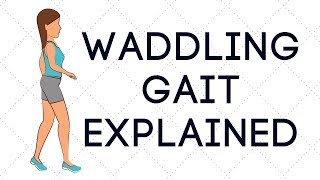 Waddling Gait Explained [upl. by Eynobe944]