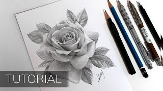 Tutorial  How to Draw a Realistic Rose [upl. by Ellynad915]