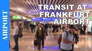 TRANSIT WALK AT FRANKFURT Airport FRA Terminal 1  Connection Flight Transfer Arriving amp Departing [upl. by Eliseo175]