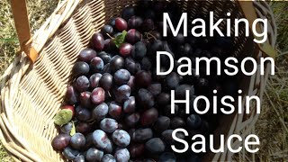 Making Damson Hoisin Sauce [upl. by Loretta955]