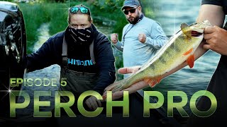 PERCH PRO 10  Episode 5 [upl. by Ijuy276]