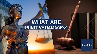 What Are Punitive Damages  LawInfo [upl. by Kcirdet]