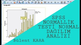 SPSS NORMALLİK TESTİ NORMAL DAĞILIM  Kolmogorov Smirnov ShapiroWilk Testleri SkewnessKurtosis [upl. by Odarbil]